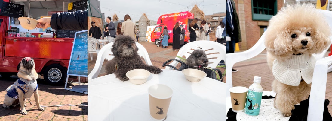 Cozy Milk愛犬フォトコンテスト開催中！送料無料CPも！参加してかわいい愛犬の飲み姿を撮ろう！