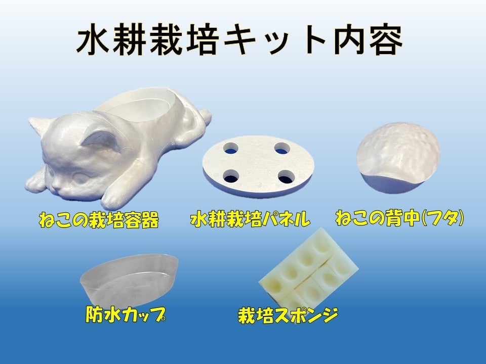 新商品】おえかきにゃんこの水耕栽培キット♪立体ぬり絵でオリジナル