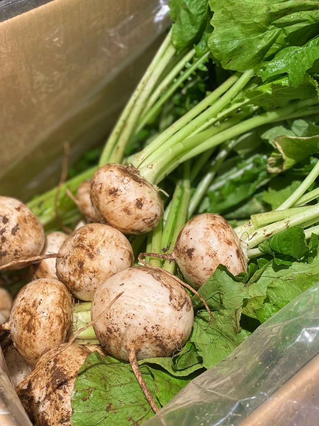 鮮度保持のため、収穫したまま梱包・納品される