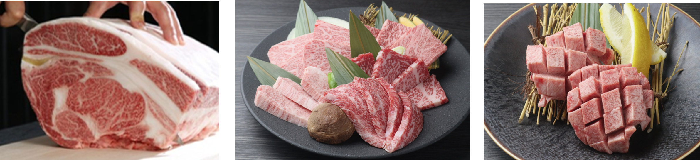 三代目下村牛　グランドメニューリニューアルイメージ