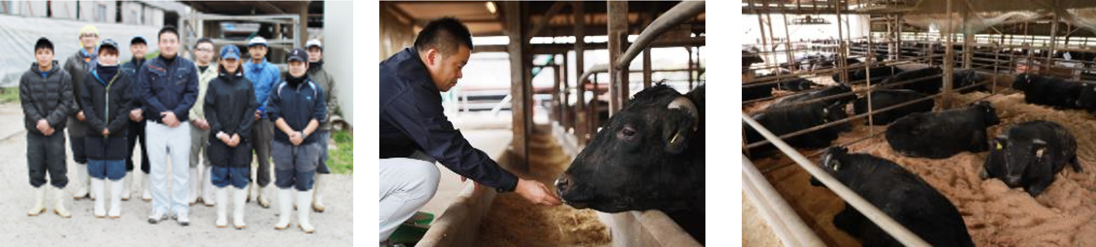 下村牛を産み出す“下村牧場”①