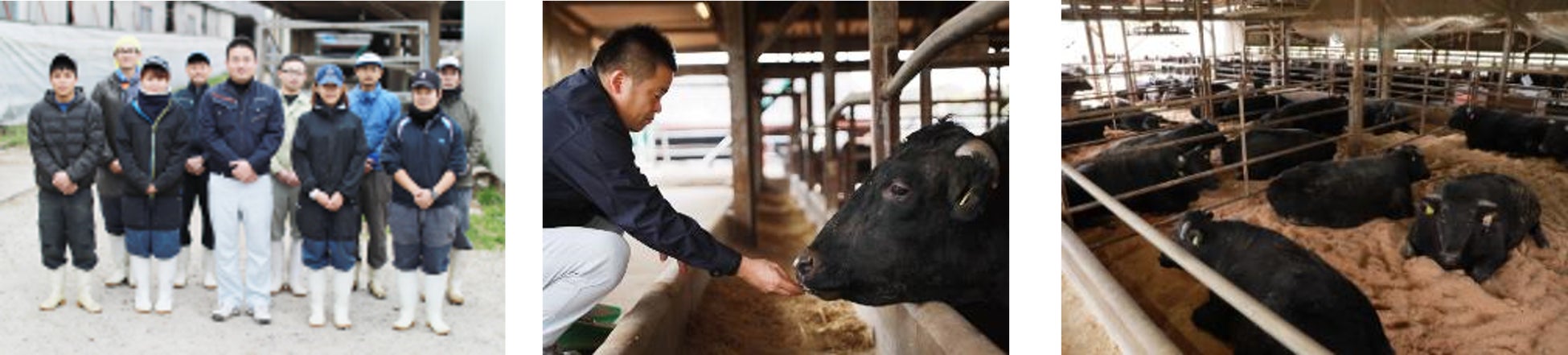 下村牛を産み出す“下村牧場”①