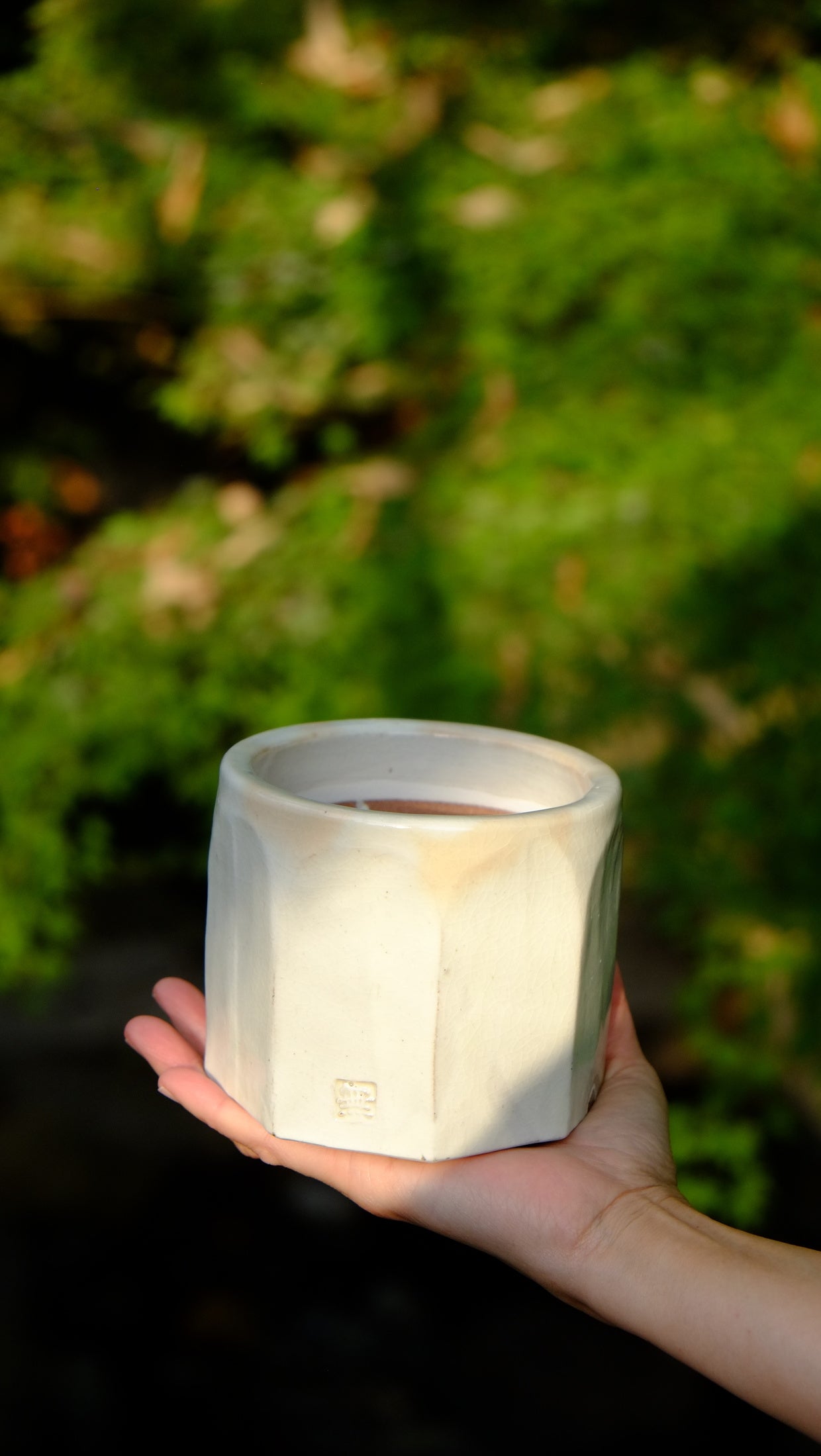 陶器ブランド【無為】が『福祉×伝統』を目指してクラウドファン