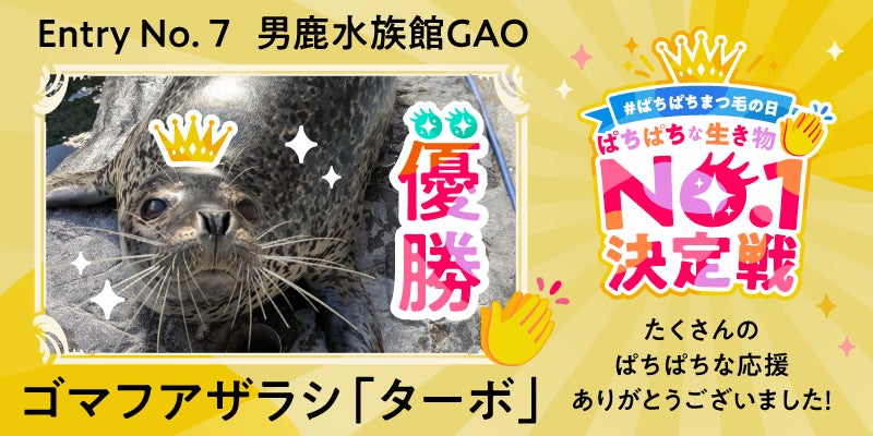 毎週火曜日に新たなコスメに出会える!Qoo10、2026年8月の「Mega Debut」販売ランキングTOP5を発表