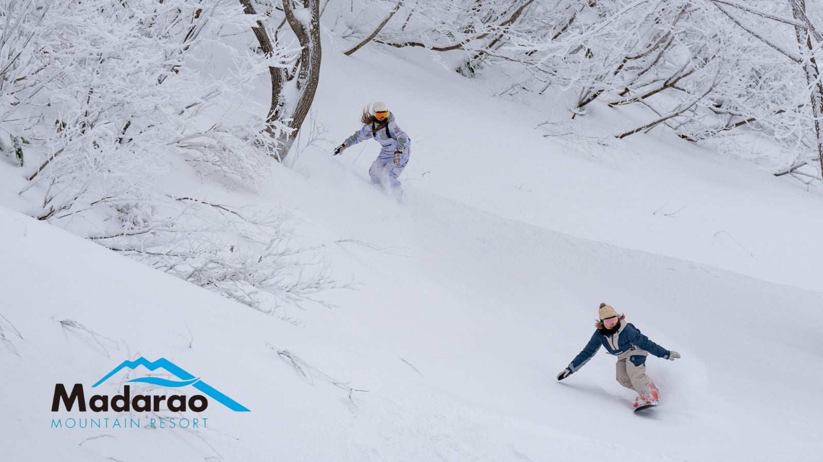 パウダーが楽しめるツリーランコース