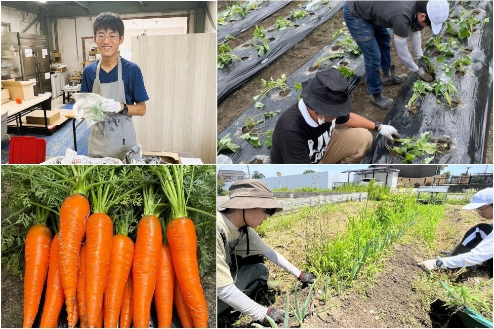 愛ふぁーむプロジェクトでは、障がいを持つ方々が農作物の生産から出荷までの工程のいずれかに携わります。