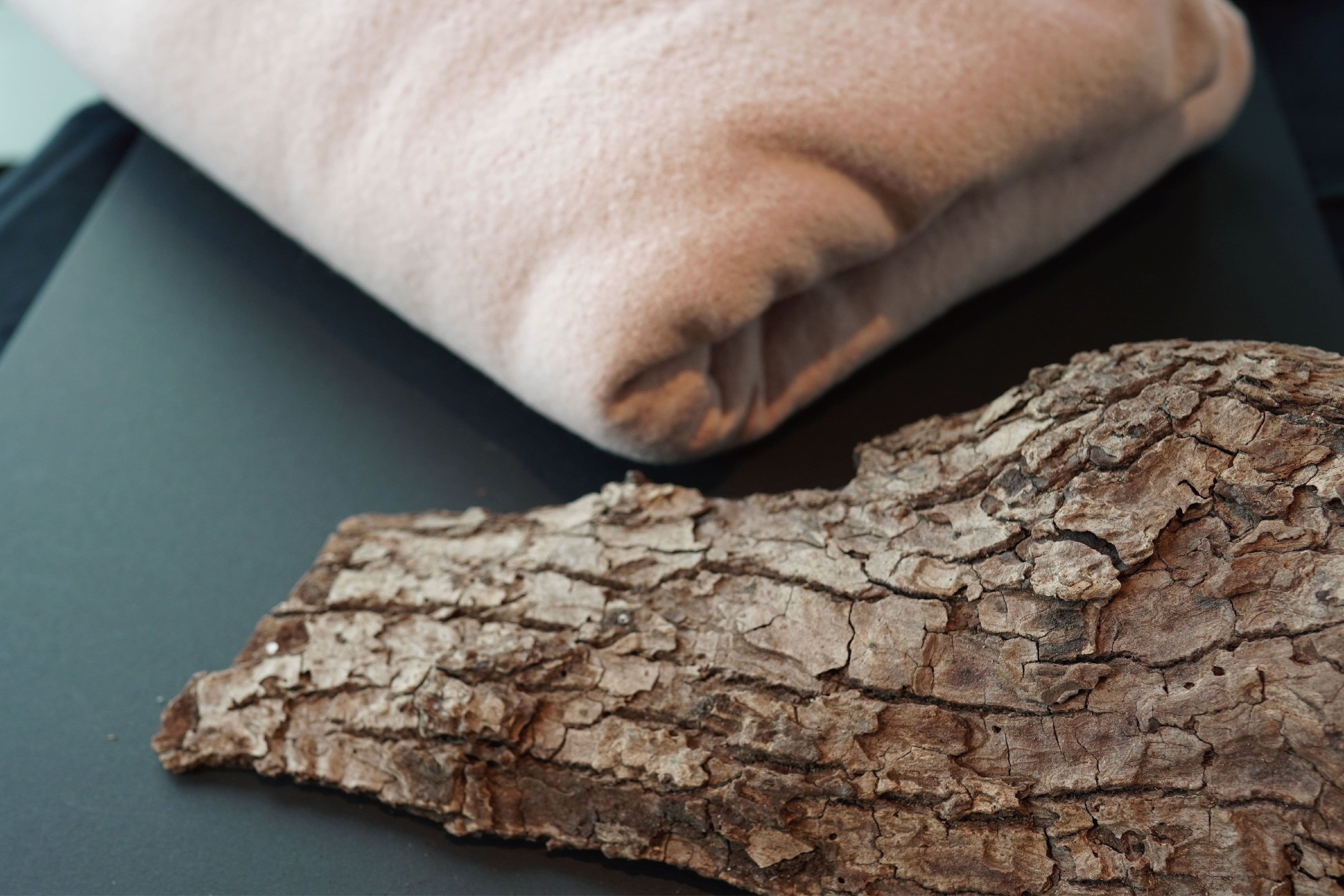 染めあがったウール布と御神木の樹皮