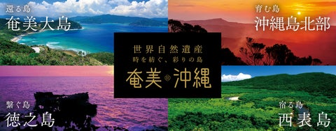 奄美・沖縄の自然遺産「奄美大島」の魅力と体験を楽しもう！