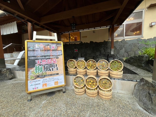 天然温泉こまき楽の湯を食料ロスの梅で埋め尽くします!スーパー銭湯がすっぱい銭湯に! | 株式会社ナカシロのプレスリリース