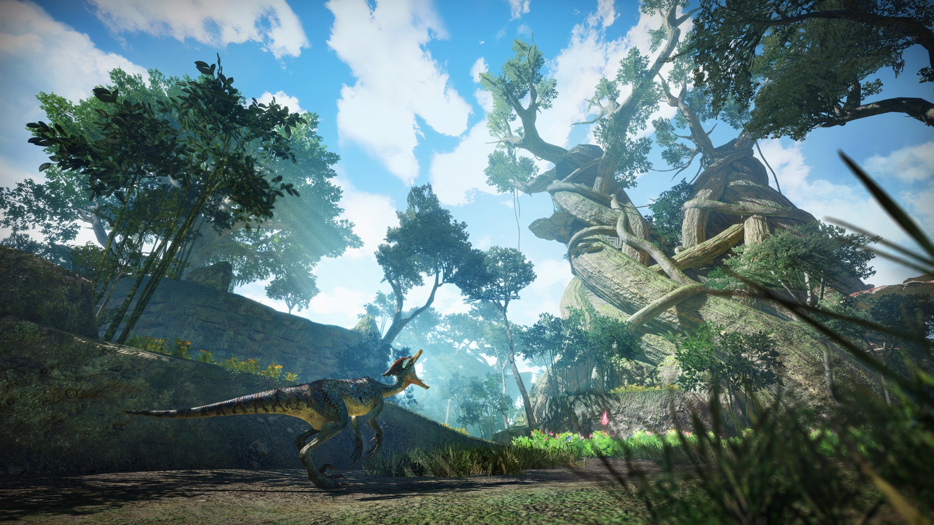 密林イメージビジュアル