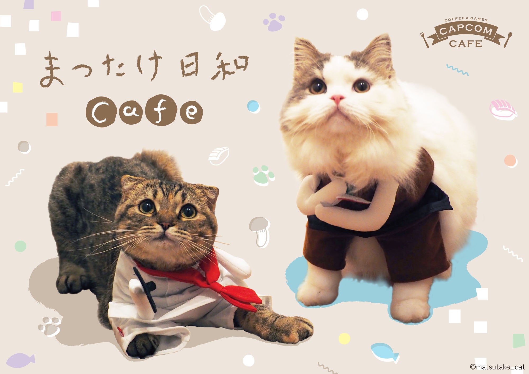 カプコンカフェ 池袋店・梅田店 スコティッシュフォールドの猫