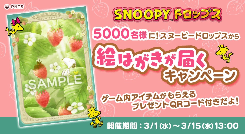 ◉とても綺麗なお品物◉カード強化12枚モデル新型エベヌジッピー ◉とても綺麗なお品物◉カード強化12枚モデル新型エベヌジッピー