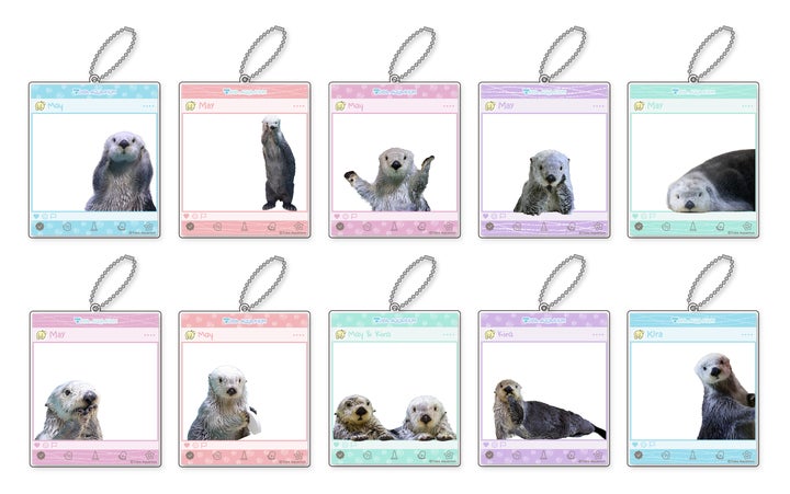 13450-3729- 13450-3729-