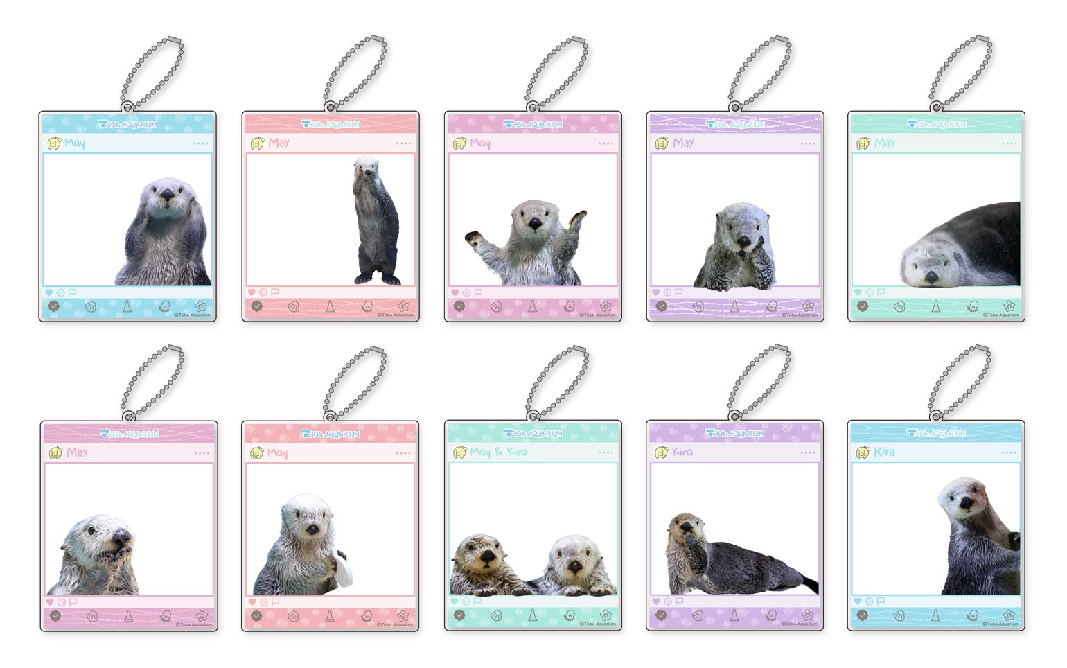 鳥羽水族館 ラッコ アクリルキーホルダー全10種セット カプくじ メイ キラ 鳥羽水族館』のアイドル! 「ラッコのメイちゃん」のお誕生日を