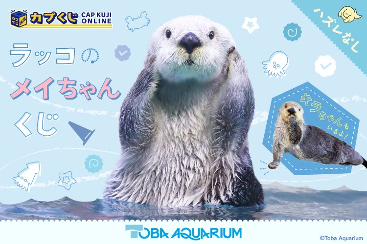 鳥羽水族館』のアイドル! 「ラッコのメイちゃん」のお誕生日を 鳥羽水族館』のアイドル! 「ラッコのメイちゃん」のお誕生日を