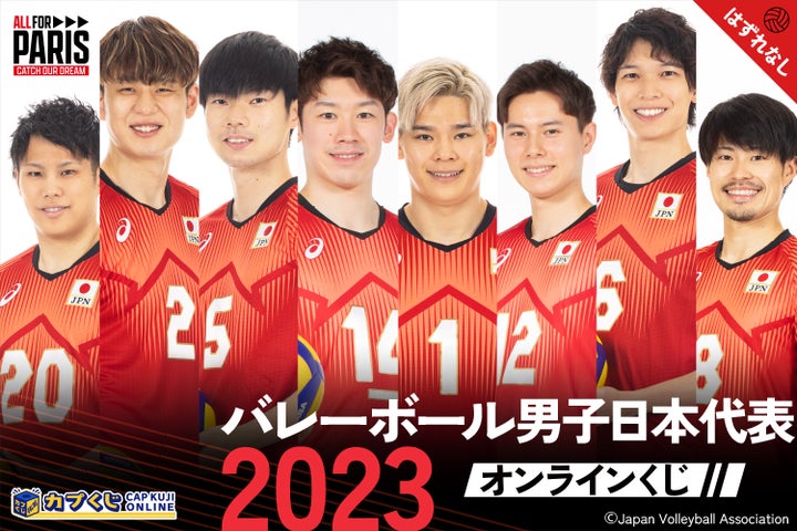 バレーボール男子日本代表 クッション 13450-3962-