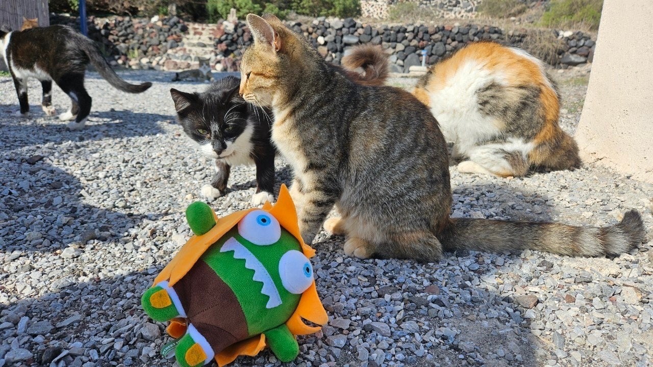 食べられる3秒前!?🐈 #スト6フォトコン