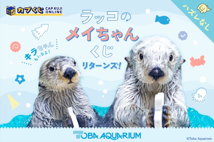 鳥羽水族館 コレクションカード メイ(レア) ラッコ 赤ちゃん 鳥羽水族館 コレクションカード メイ(レア) ラッコ 赤ちゃん