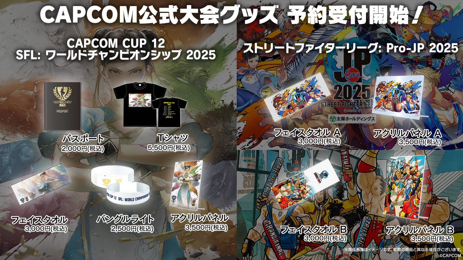 イーカプコン限定 ヴァンパイアセイヴァー 西村キヌ 額装アート プリマグラフィ イーカプコン限定 ヴァンパイアセイヴァー 西村キヌ 額装アート プリマ
