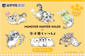 イーカプコン限定「デビル メイ クライ トリプル パック LIMITED イーカプコン限定「デビル メイ クライ トリプル パック LIMITED