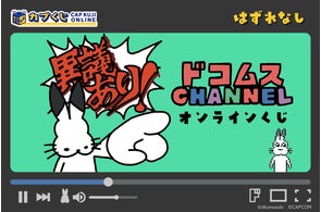 30cmアナログレコード/2枚組「モンスターハンター15周年記念盤 30cmアナログレコード/2枚組「モンスターハンター15周年記念盤