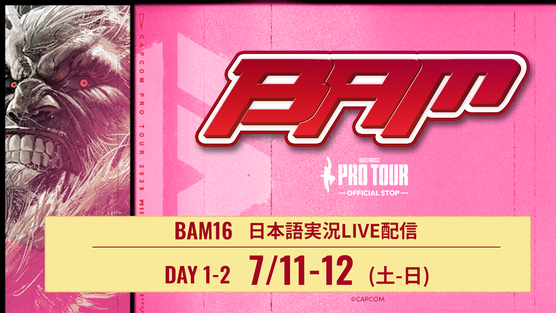 スト6世界一決定戦！賞金100万ドル「CAPCOM CUP 13」予選を日本語実況で