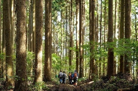 ▲国立公園内のトレッキング