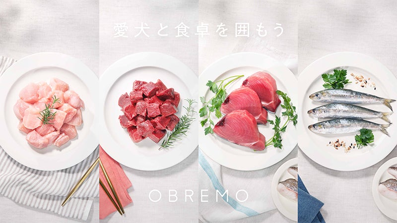 OBREMO いわし&たら 3つセット OBREMO いわし&たら 3つセット
