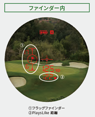 ファインダー内