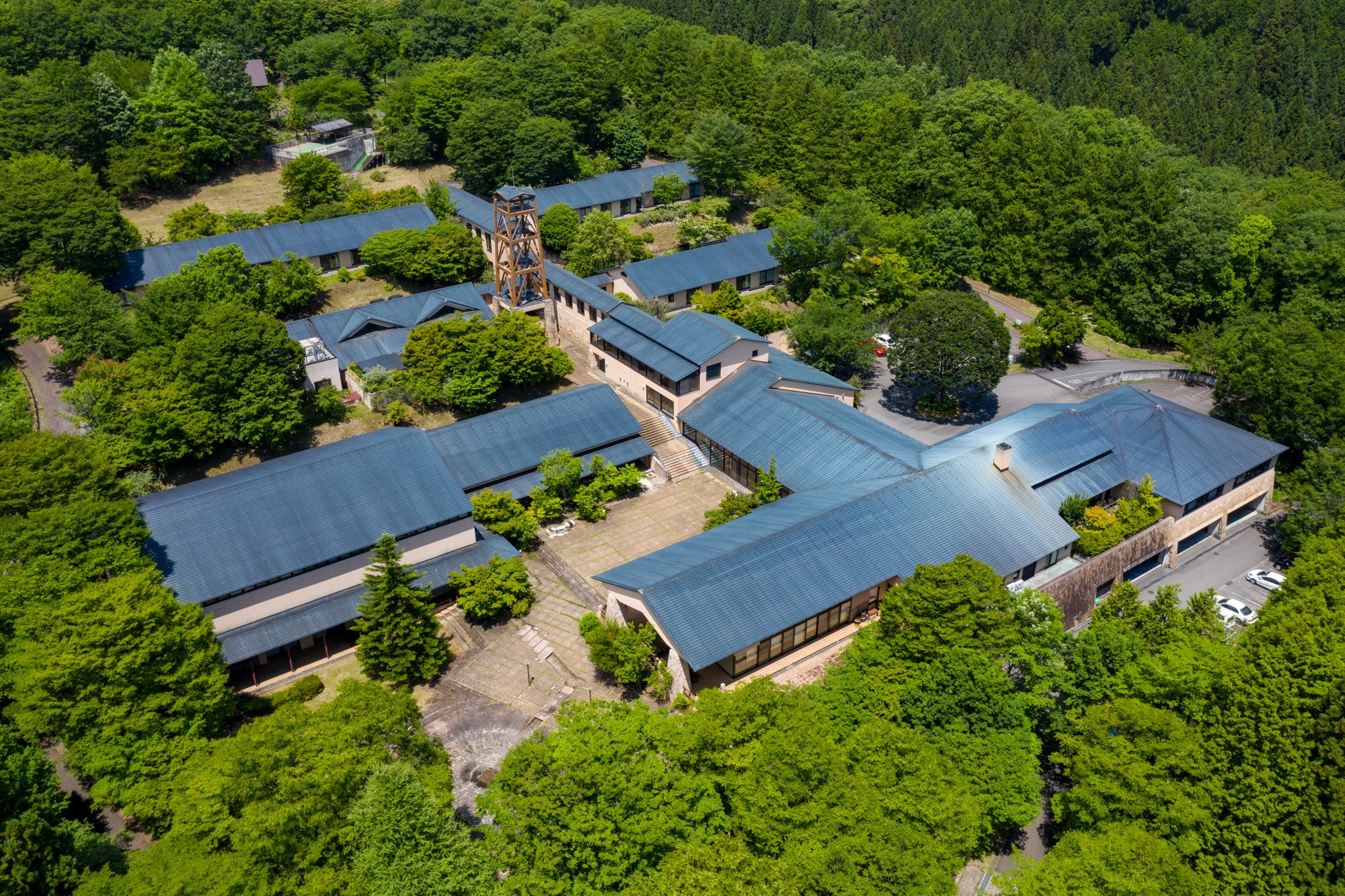 株式会社フォレストは 杉並区より運営を受託していた「コニファーいわびつ」の土地建物を取得し、自社物件として営業を継続いたします。