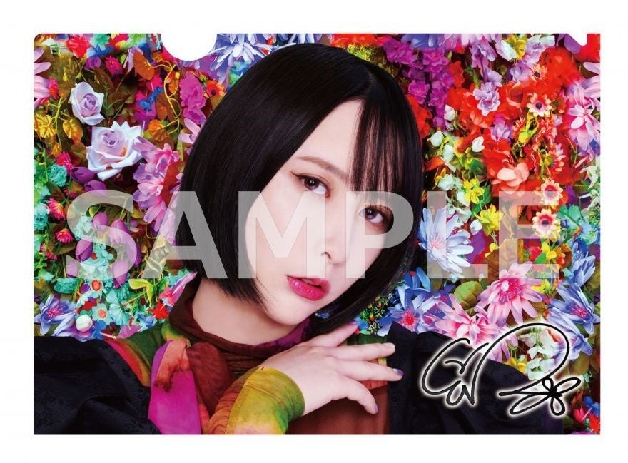 藍井エイル サイン 藍井エイル 鼓動 CD 本人直筆サイン入り - メルカリ