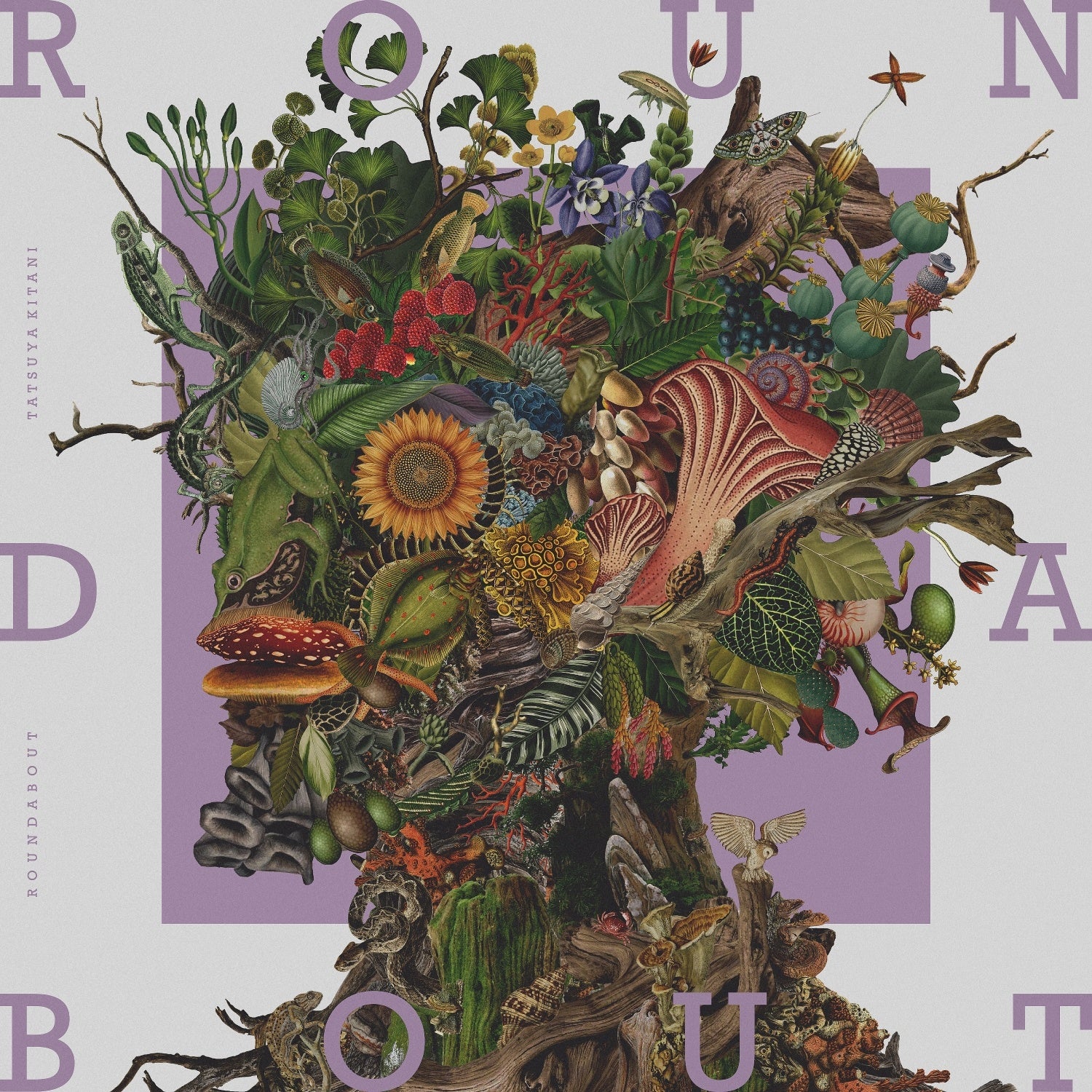 キタニタツヤ キタニタツヤ New Album「ROUNDABOUT」のジャケット、新