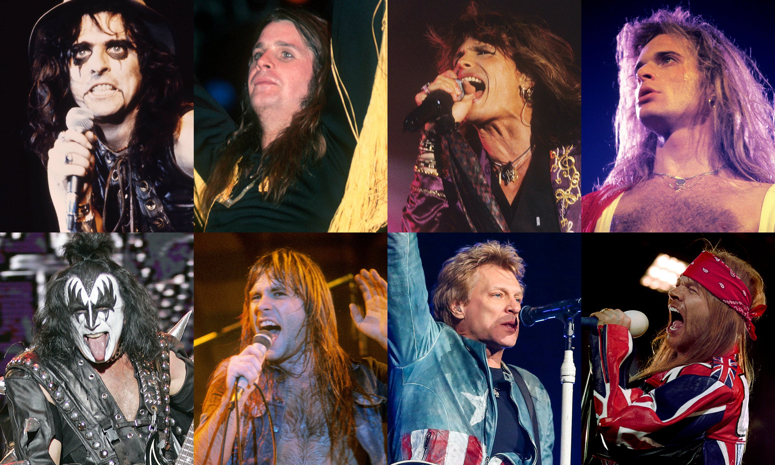 往年のロックバンドのフロントマンたちに迫るドキュメンタリー