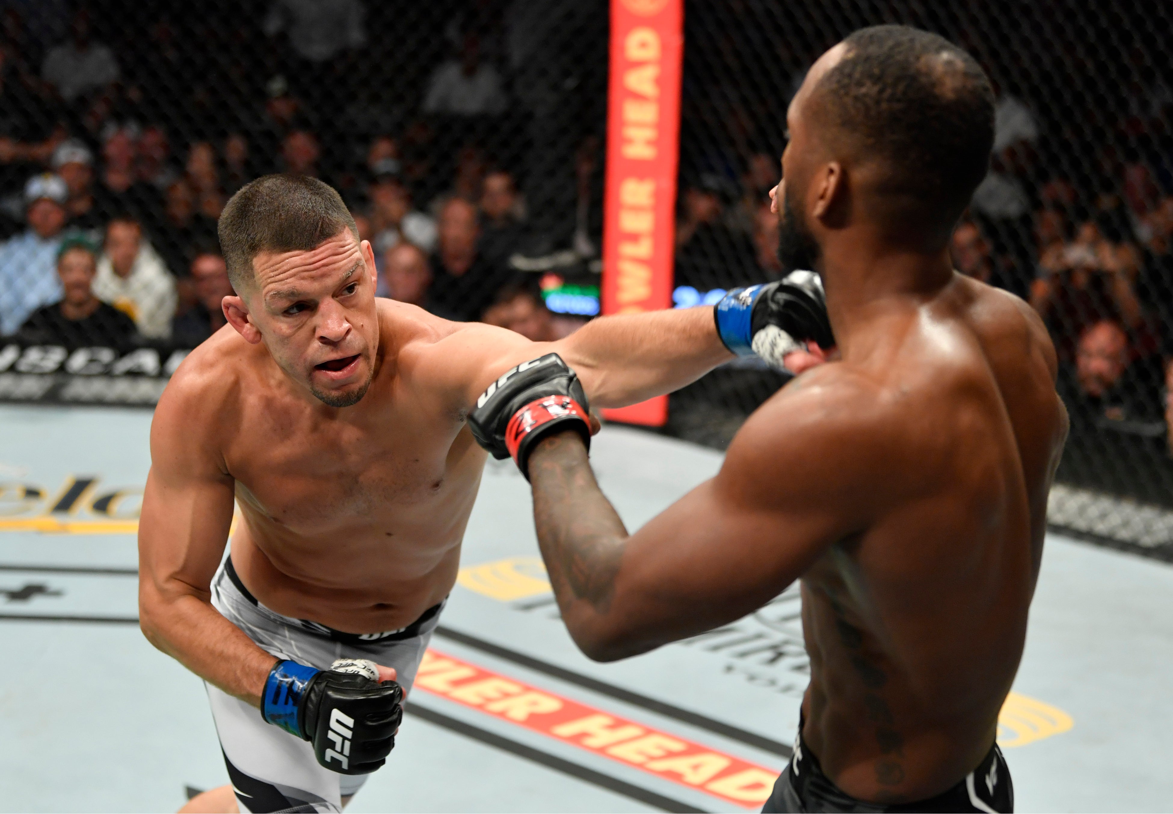 ネート・ディアス／Getty Images