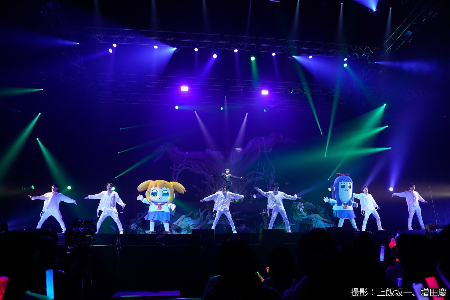 蒼井翔太3番組オンエアスペシャル！最新ツアーより両国国技館