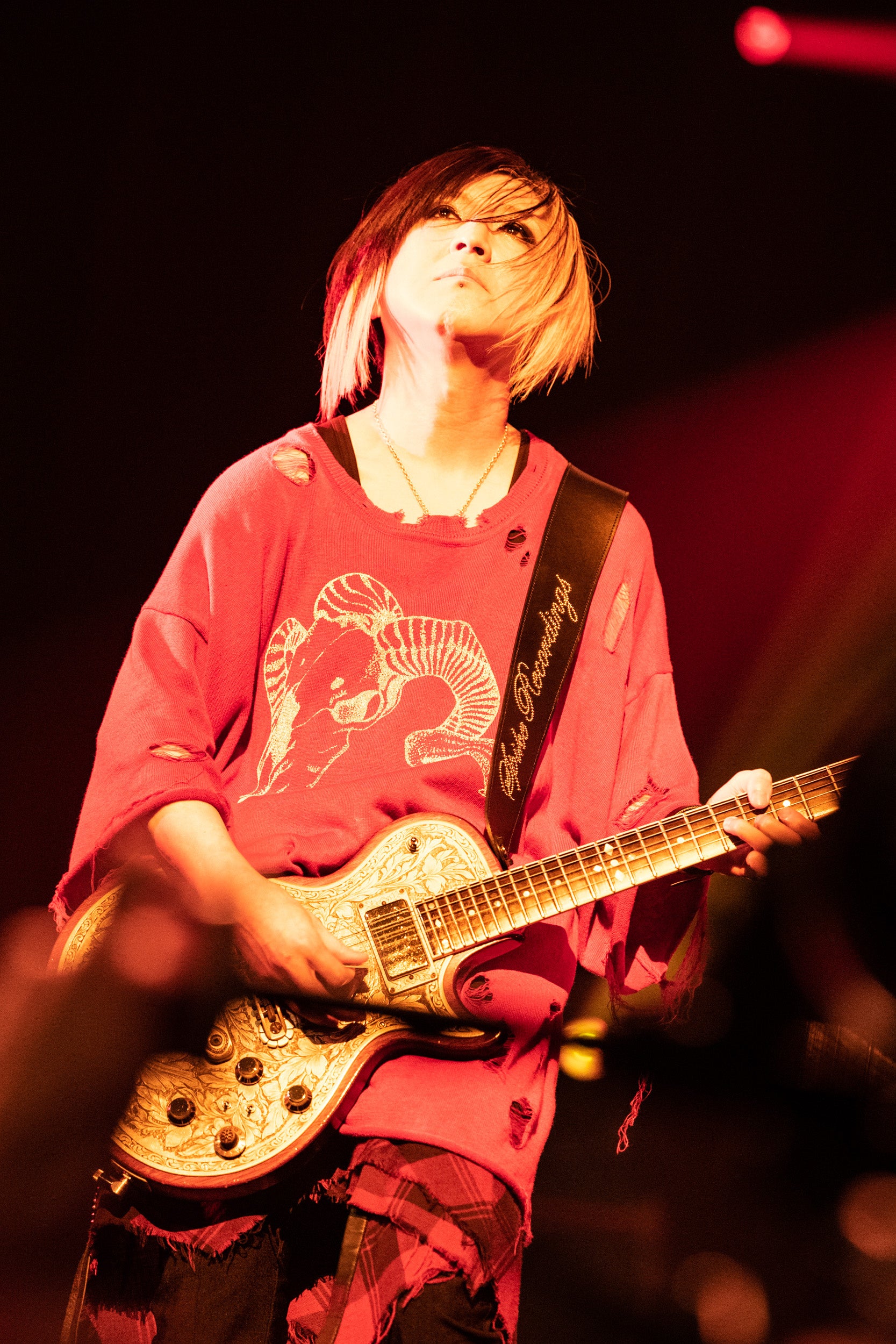 撮影：岡田裕介