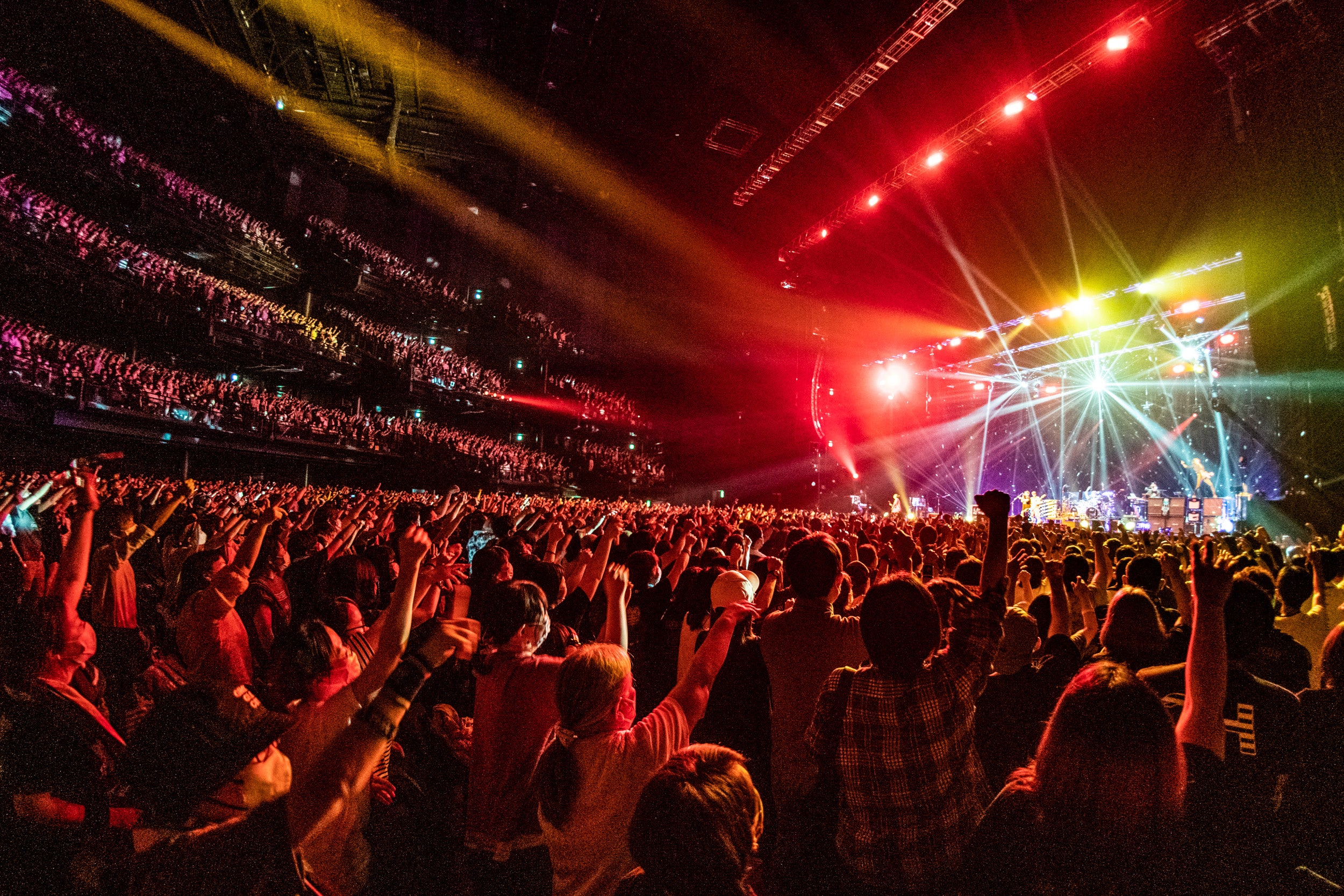 撮影：岡田裕介