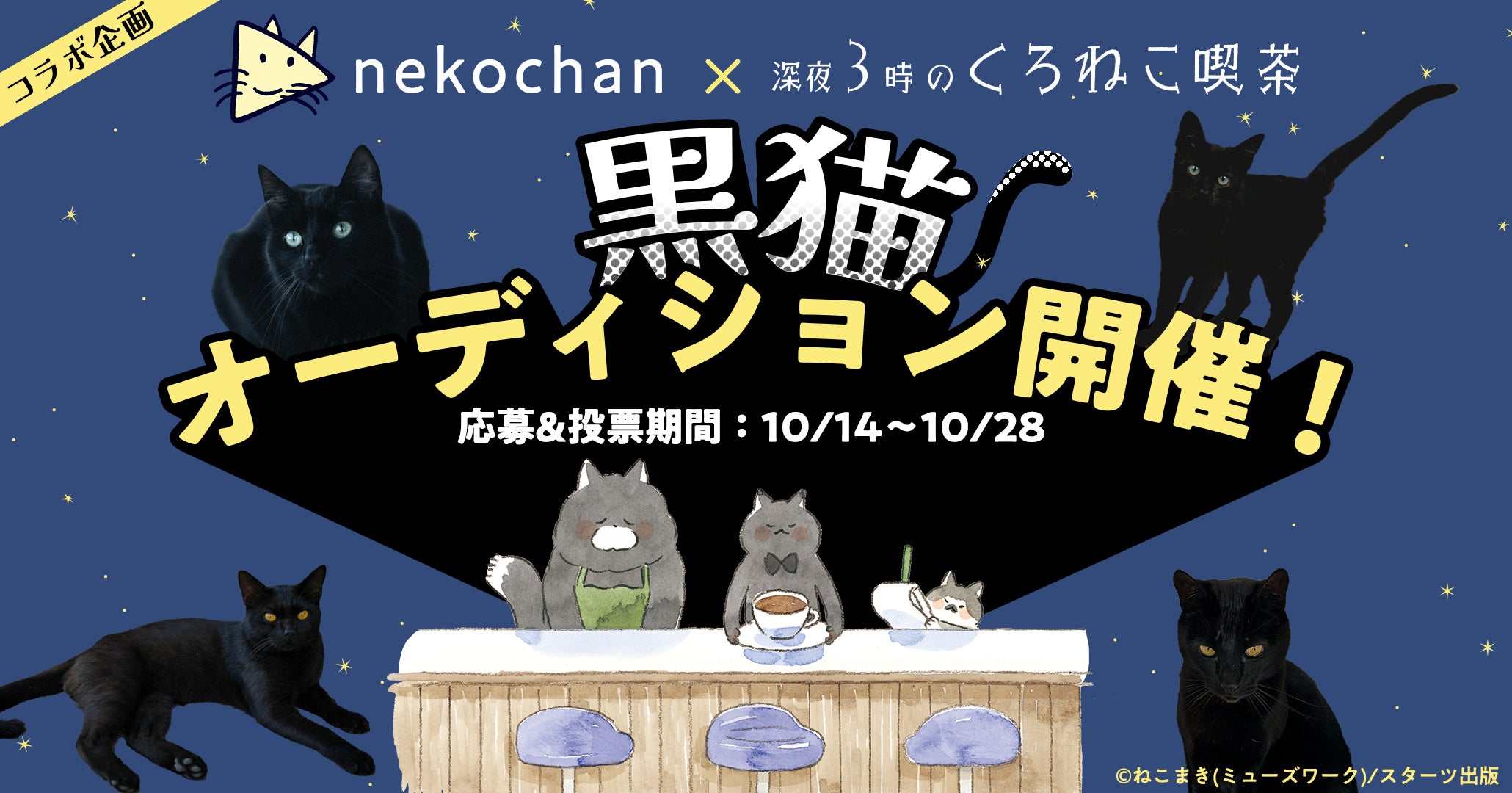 くろねこんぼ様ご専用です(^-^) 【公式通販】 くろねこんぼ様ご専用です(^-^) 【公式通販】