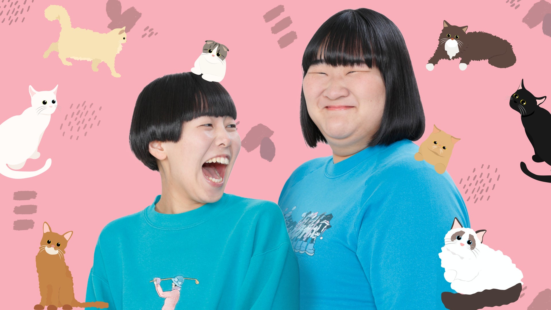 猫×お笑い」夢のコラボ配信 第4弾決定!ヨネダ2000が猫だけのライブ 猫×お笑い」夢のコラボ配信 第4弾決定!ヨネダ2000が猫だけのライブ
