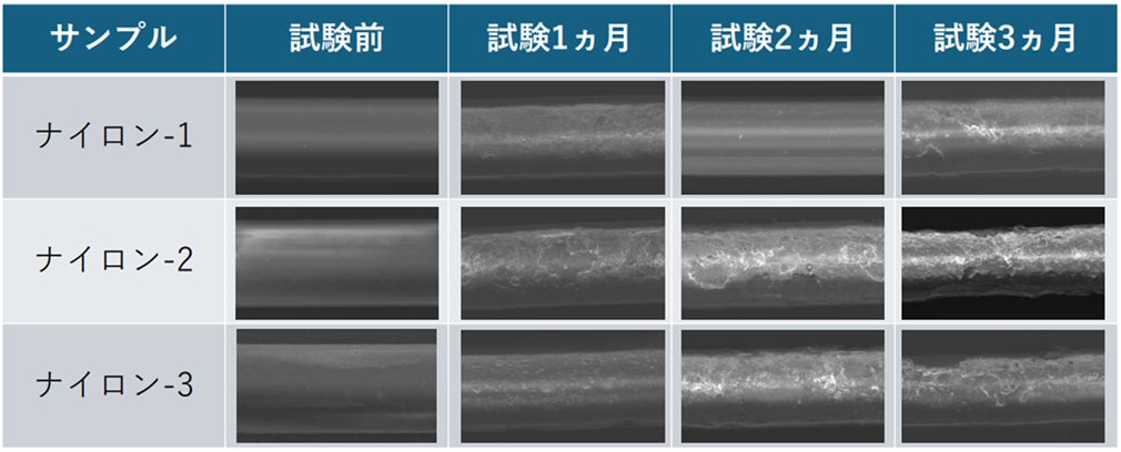 これまで分解しないとされていた市販の釣り糸が海洋で生分解することを これまで分解しないとされていた市販の釣り糸が海洋で生分解することを