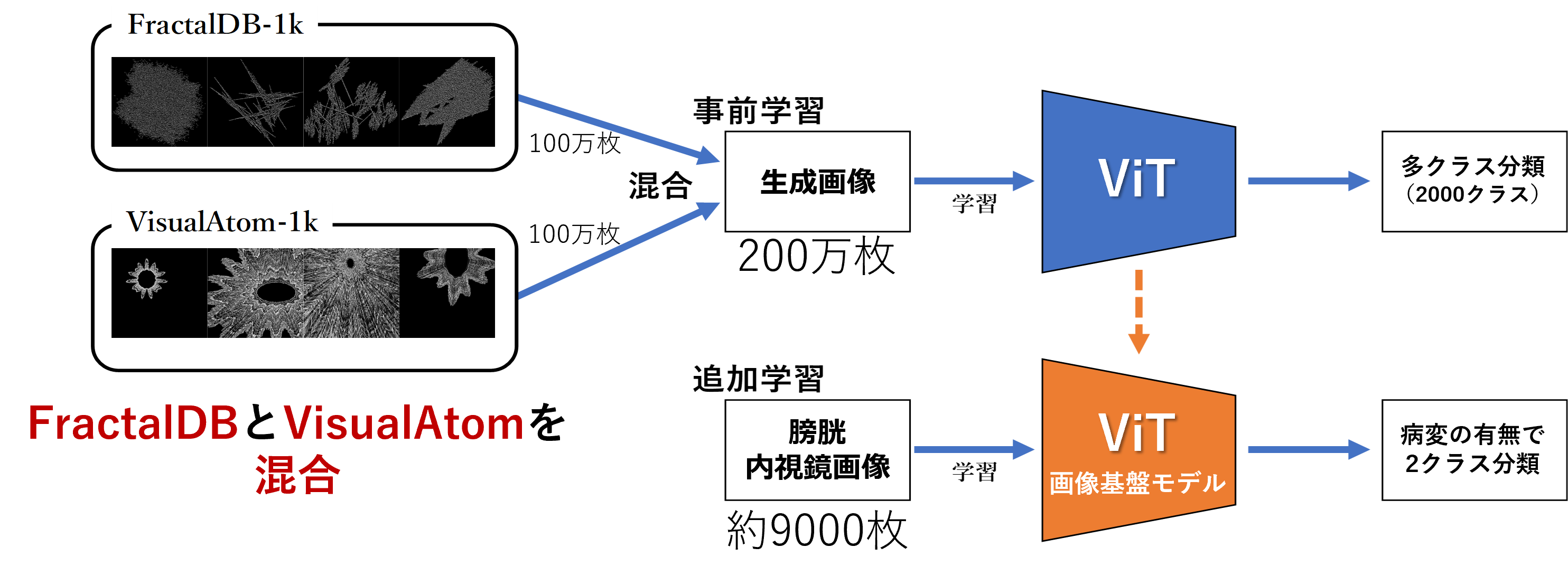 図3　生成画像による画像基盤モデルの構築と膀胱内視鏡診断支援AIの学習