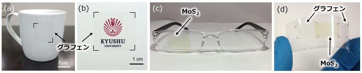 図7　UVテープを使うことでさまざまな材料や形状への転写が可能 （a）マグカップに転写した単層グラフェン（b）紙に転写したグラフェン（c）プラスチック製の眼鏡に転写したMoS2（d）フレキシブルなプラスチック基板（PEN基板）に転写したグラフェンとMoS2