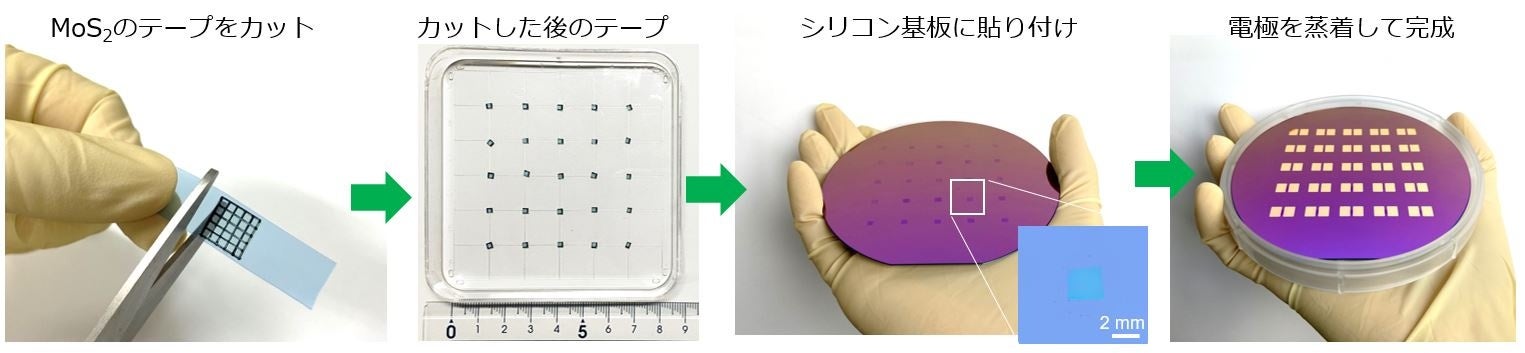 図6　MoS2をキャッチしたUVテープをカットすることによるパターン転写