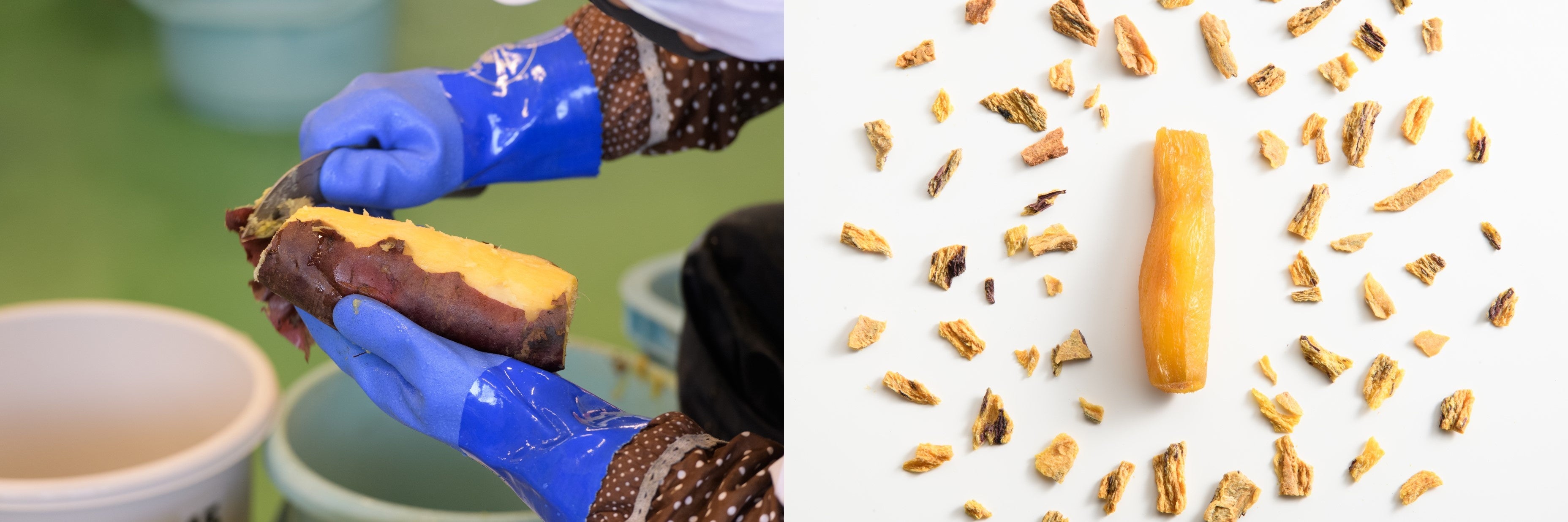 未利⽤部分となる皮（左）を高速乾燥させフレーク（右）に