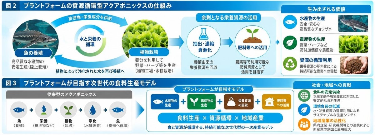 プラントフォーム、新潟県フードテック産業クラスターの中核企業に選定 アクアポニックスで「食料生産」と「資源循環」の一体化へ