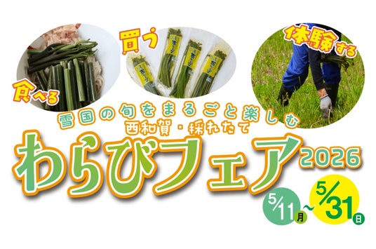 「西和賀・採れたてわらびフェア 2026」開催(5/11~5/31) 「西和賀・採れたてわらびフェア 2026」開催(5/11~5/31)