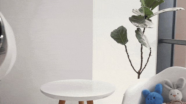 次世代の超小型衣類乾燥機「Morus Capsule 2」がiFデザインアワード 次世代の超小型衣類乾燥機「Morus Capsule 2」がiFデザインアワード