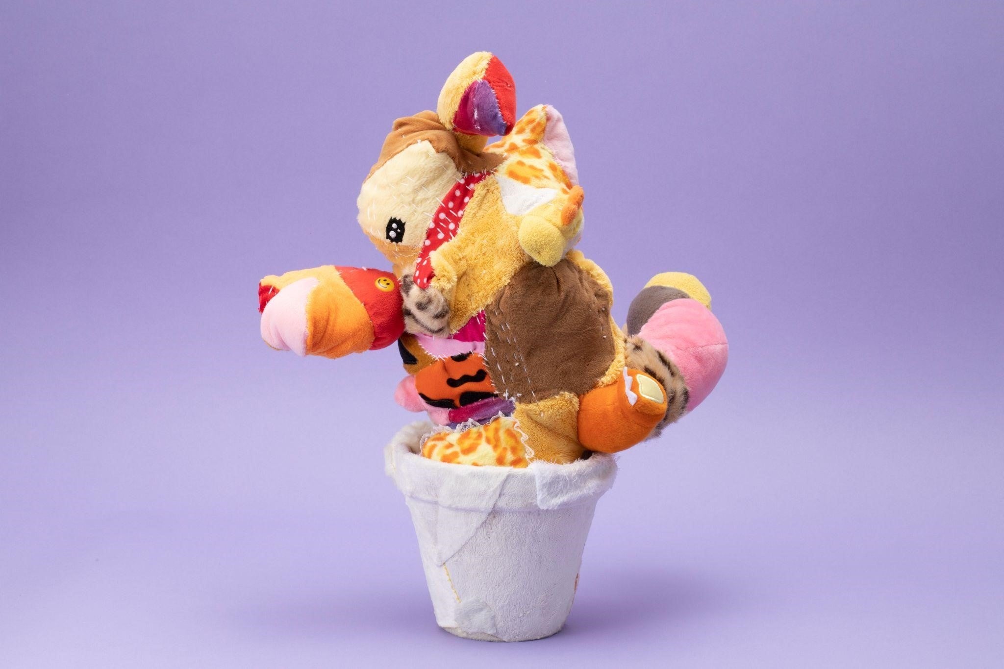 福島 李子「Cactus」