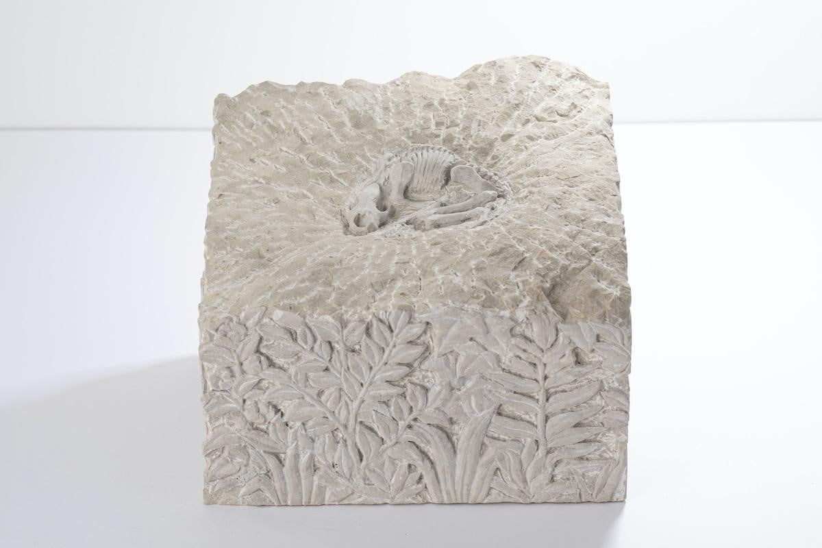 Выставленные работы (по расписанию) Акими Мороока "Король"