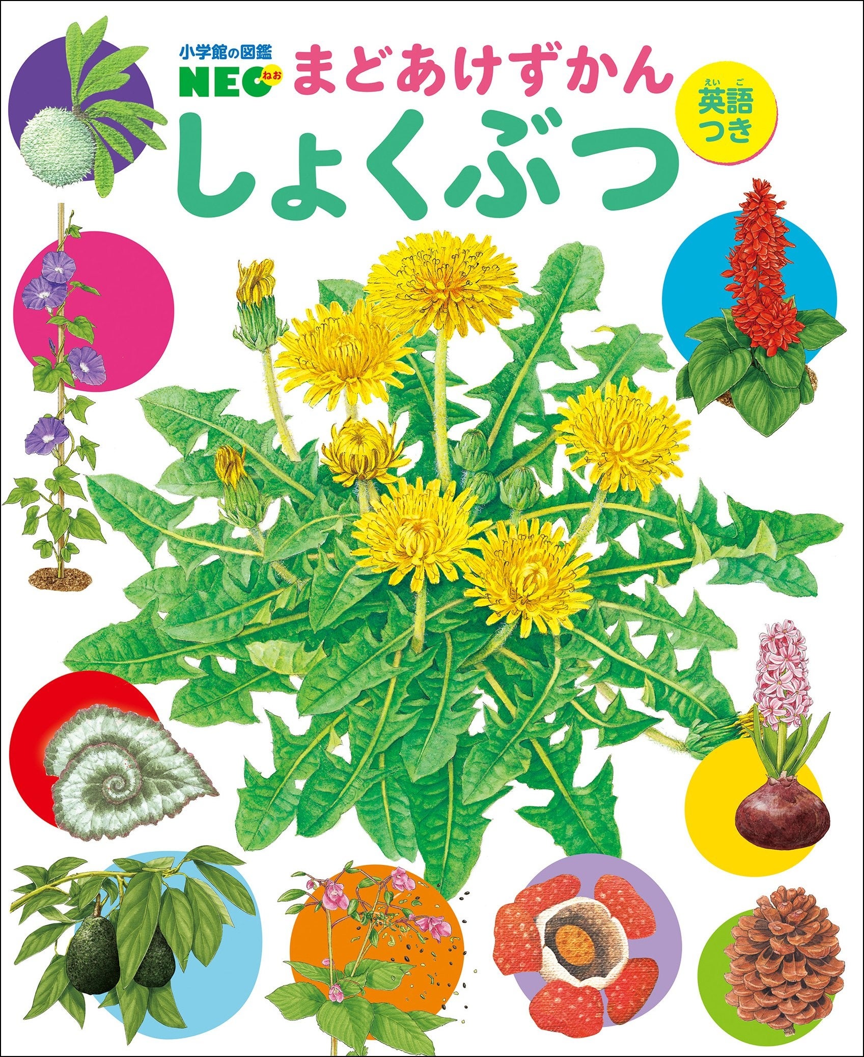 大人気！幼児向けのめくって遊べる図鑑「まどあけずかん」の最